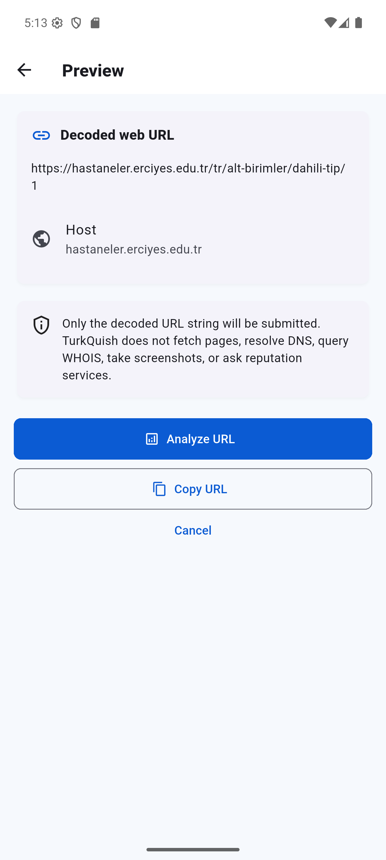 Preview screen showing the decoded URL and host before analysis.